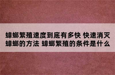 蟑螂繁殖速度到底有多快 快速消灭蟑螂的方法 蟑螂繁殖的条件是什么